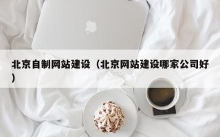 九江北京自制网站建设（北京网站建设哪家公司好）